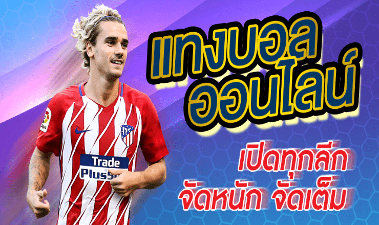 เว็บบอล